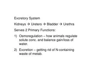Excretory System Kidneys ? Ureters ? Bladder ? Urethra Serves 2 Primary Functions: