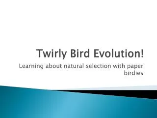 Twirly Bird Evolution!