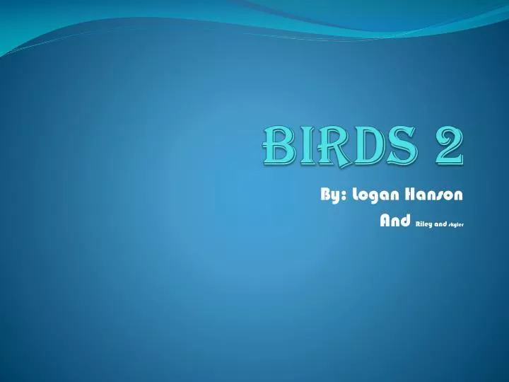 birds 2