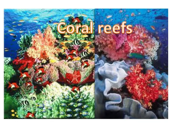 coral reefs