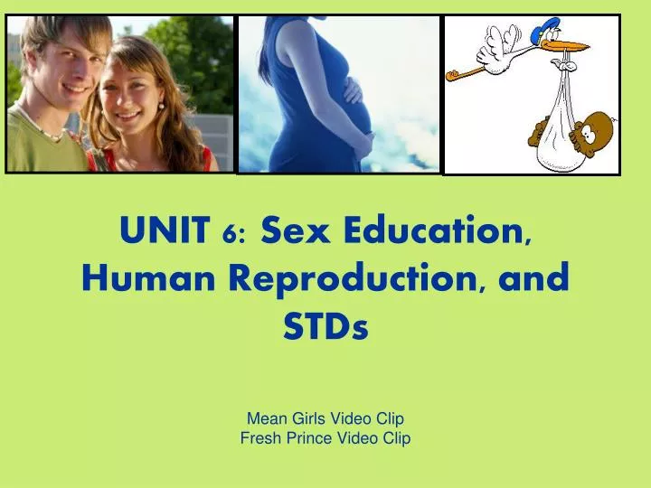 unit 6 sex education human reproduction and stds