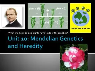 Unit 10 : Mendelian Genetics and Heredity