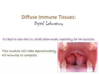 Diffuse Immune Tissues: Digital Laboratory