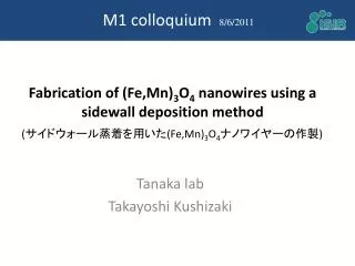 Fabrication of ( Fe,Mn ) 3 O 4 nanowires using a sidewall deposition method