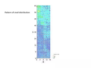 Pattern of snail distribution