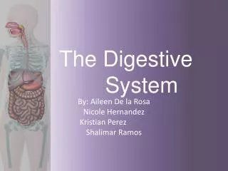 The Digestive 							 System