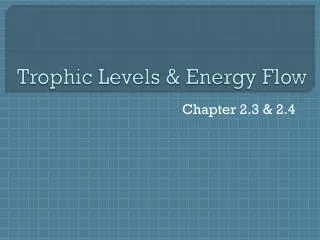 Trophic Levels &amp; Energy Flow