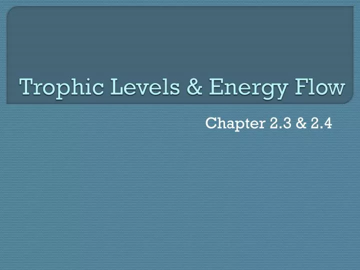 trophic levels energy flow