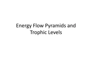 Energy Flow Pyramids and Trophic Levels