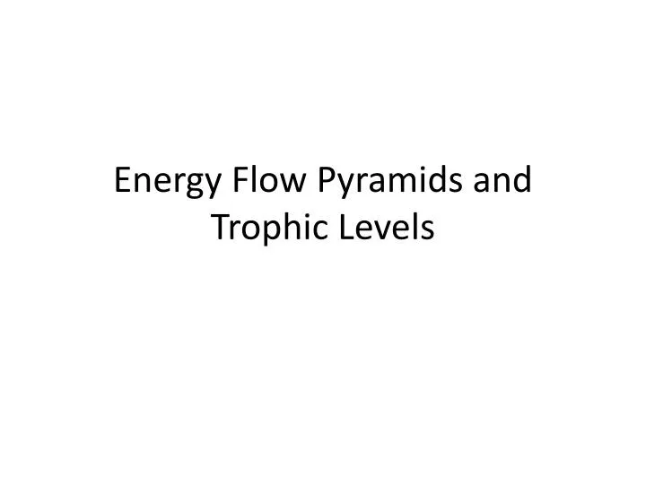 energy flow pyramids and trophic levels