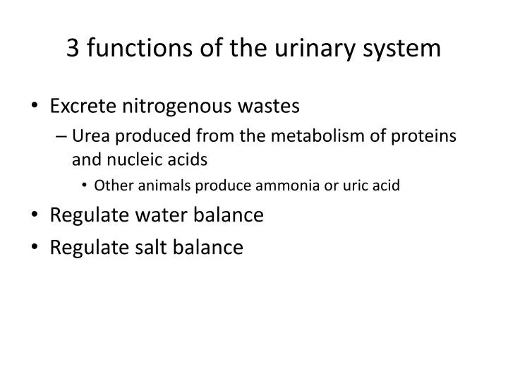 3 functions of the urinary system