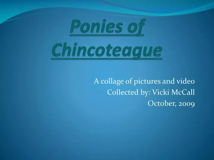 ponies of chincoteague
