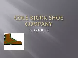 Cole Bjork Shoe company