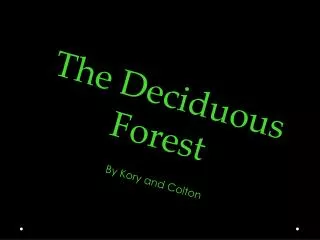 The Deciduous F orest