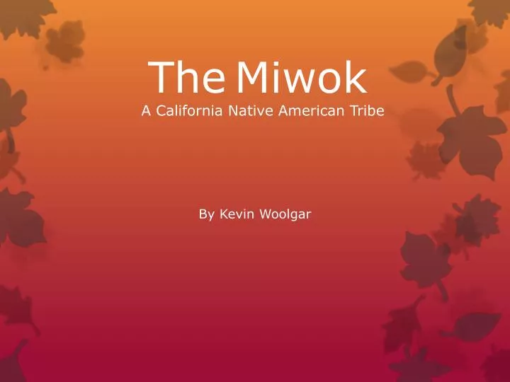the miwok a california native american tribe