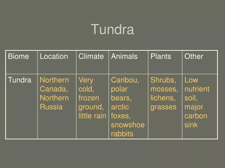 tundra