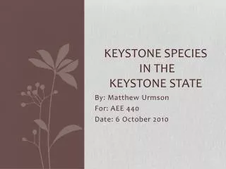 Keystone Species in The Keystone State