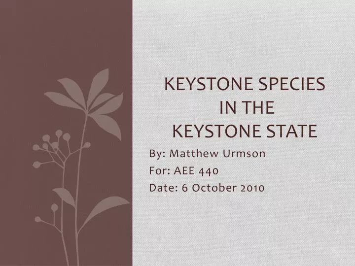 keystone species in the keystone state