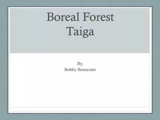 Boreal Forest Taiga