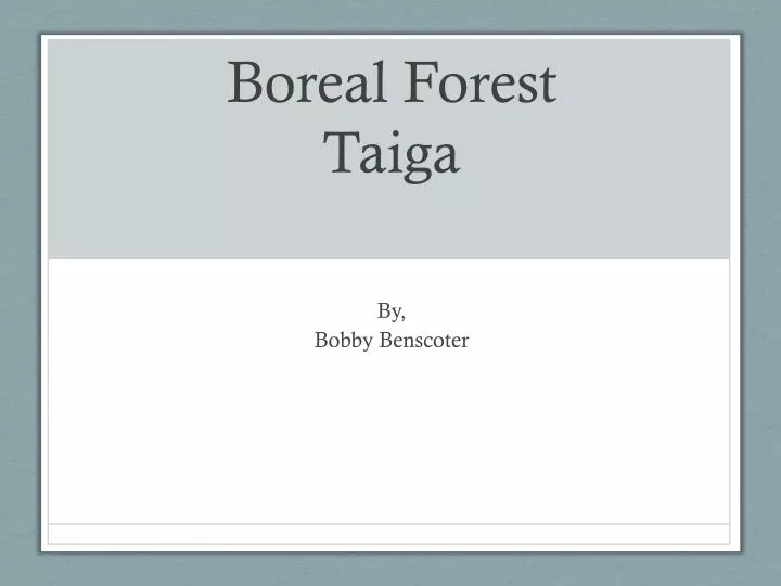 boreal forest taiga