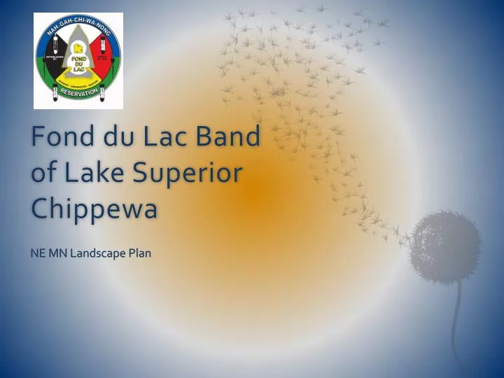fond du lac band of lake superior chippewa