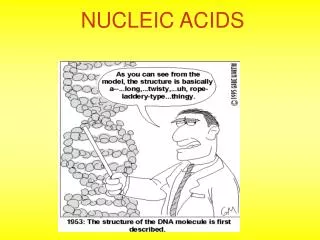 NUCLEIC ACIDS