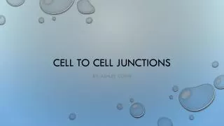 Cell to cell junctions
