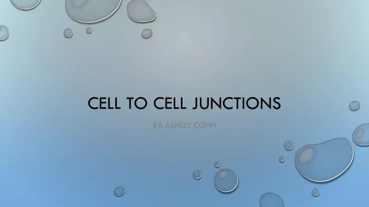 cell to cell junctions