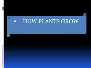 HOW PLANTS GROW