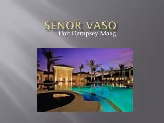 senor vaso