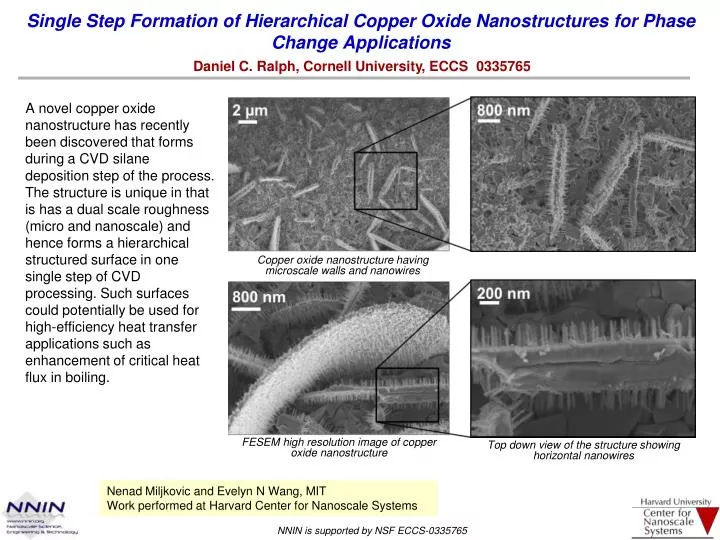 single step formation of hierarchical copper oxide nanostructures for phase change applications