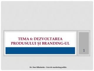 tema 6 dezvoltarea produsului i branding ul