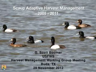 Scaup Adaptive Harvest Management 2008 - 2011