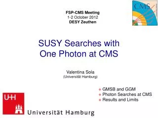 SUSY Searches with One Photon at CMS