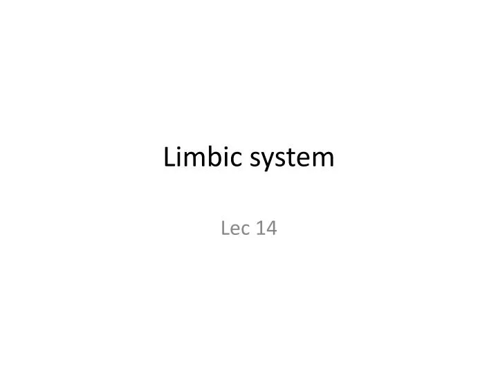 limbic system