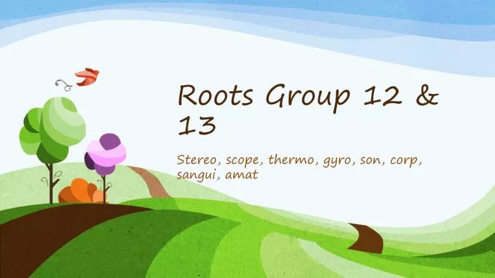 roots group 12 13
