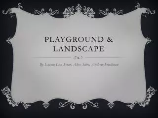 Playground &amp; Landscape