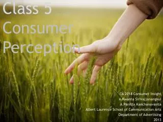 Class 5 Consumer Perception