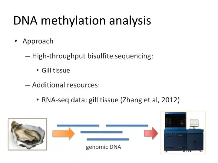 dna methylation analysis