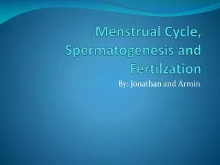 Menstrual Cycle, Spermatogenesis and Fertilzation