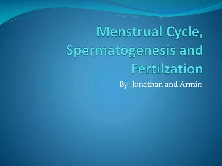 menstrual cycle spermatogenesis and fertilzation