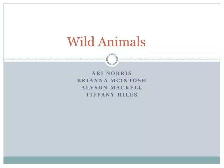 wild animals