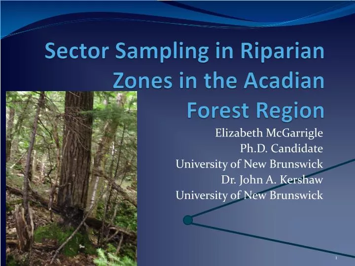 sector sampling in r iparian zones in the acadian forest region
