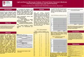 Light and Electron Microscopic Analysis of Excised Human Descemet's Membrane