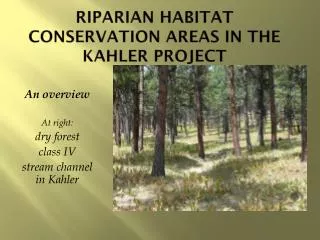 Riparian Habitat Conservation Areas in the Kahler Project