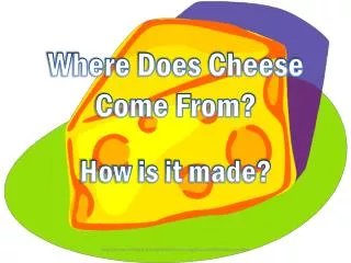 Where Does Cheese Come From?