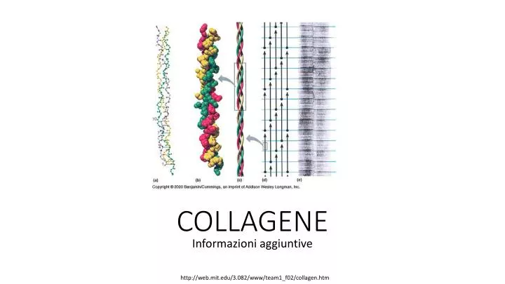 collagene