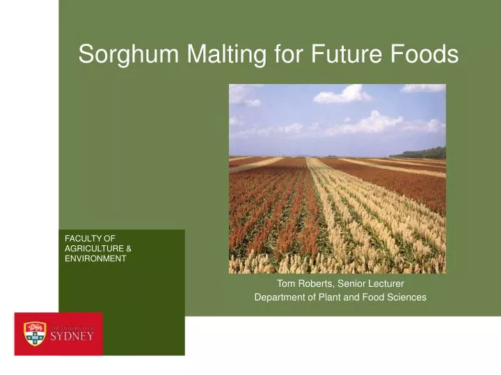 sorghum malting for future foods