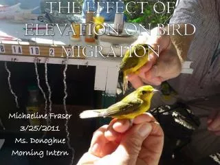 The Effect of Elevation on Bird Migration