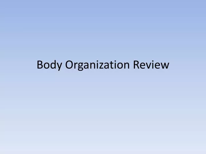 body organization review